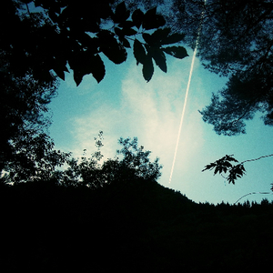 欧美 裸体沙滩 熟妇高潮
