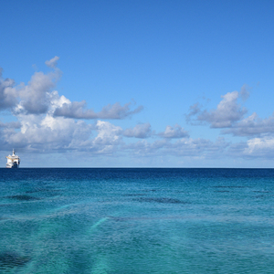 欧美 裸体沙滩 熟妇高潮
